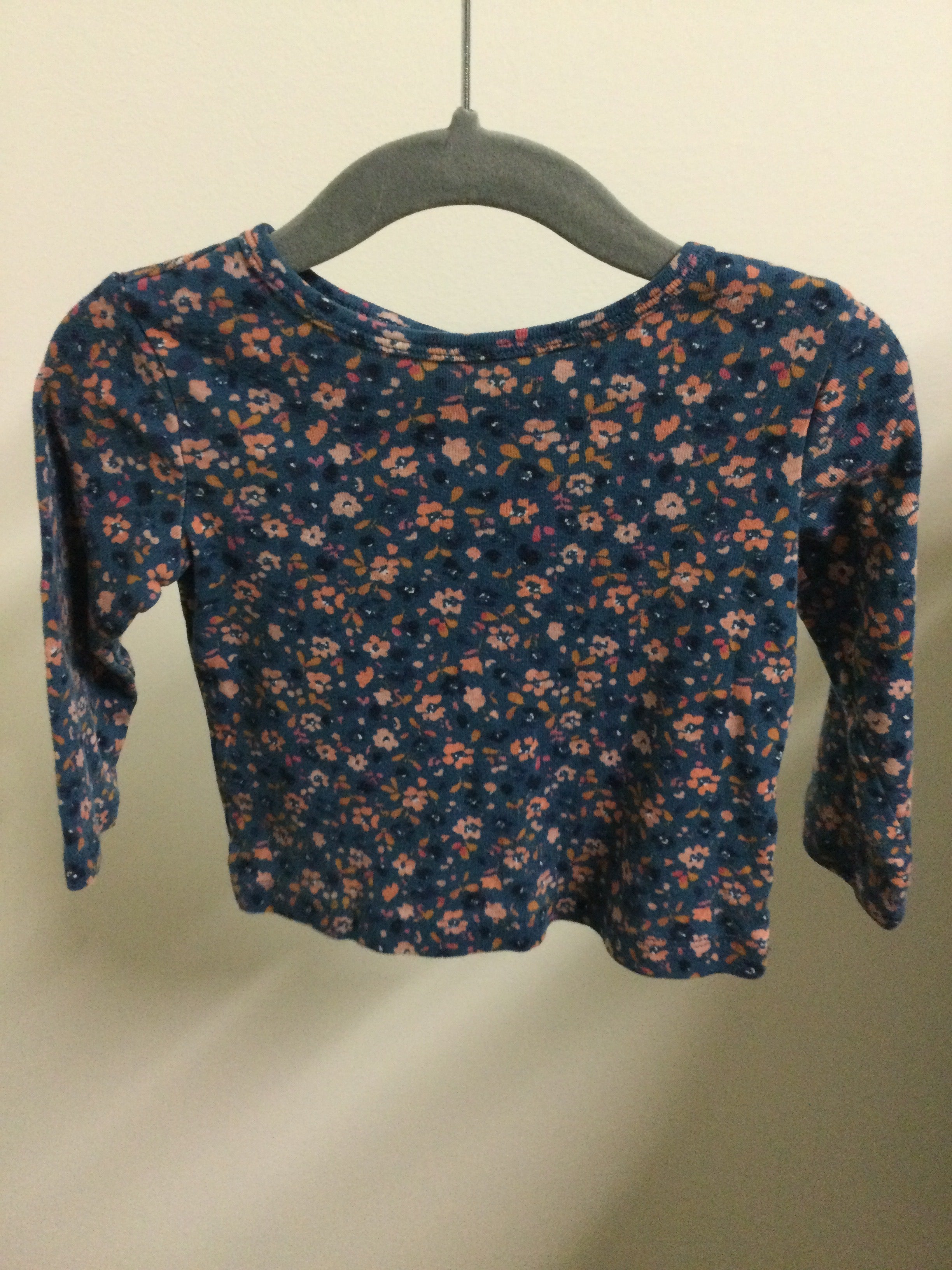 Carter’s blue/pink floral longsleeve 12M